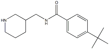 4-tert-butyl-N-(piperidin-3-ylmethyl)benzamide Struktur