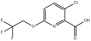 3-chloro-6-(2,2,2-trifluoroethoxy)pyridine-2-carboxylic acid Struktur