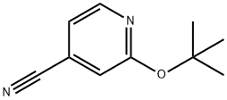 2-(tert-butoxy)pyridine-4-carbonitrile Struktur