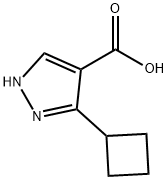 3-cyclobutyl-1H-pyrazole-4-carboxylic acid Struktur