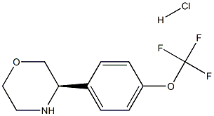 (3R)-3-[4-(TRIFLUOROMETHOXY)PHENYL]MORPHOLINE HYDROCHLORIDE Struktur