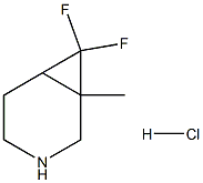 7,7-Difluoro-1-methyl-3-azabicyclo[4.1.0]heptane hydrochloride Struktur