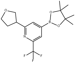 2-(tetrahydrofuran-3-yl)-4-(4,4,5,5-tetramethyl-1,3,2-dioxaborolan-2-yl)-6-(trifluoromethyl)pyridine Struktur