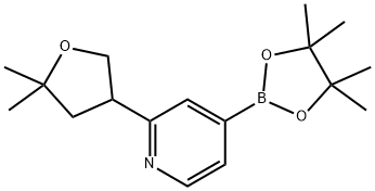 2-[(5', 5'-Dimethyl)tetrahydrofuran-3-yl]pyridine-4-boronic acid pinacol ester Struktur