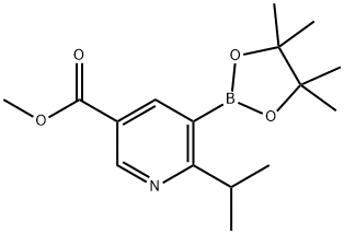 2-(iso-Propyl)-5-(methoxycarbonyl)pyridine-3-boronic acid pinacol ester Struktur