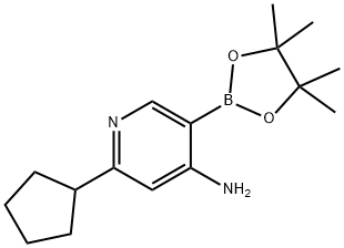 4-Amino-6-(cyclopentyl)pyridine-3-boronic acid pinacol ester Struktur