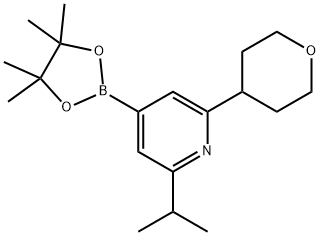 2-isopropyl-6-(tetrahydro-2H-pyran-4-yl)-4-(4,4,5,5-tetramethyl-1,3,2-dioxaborolan-2-yl)pyridine Struktur