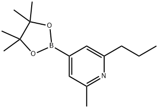 2-Methyl-6-(iso-propyl)pyridine-4-boronic acid pinacol ester Struktur