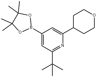 2-(tert-butyl)-6-(tetrahydro-2H-pyran-4-yl)-4-(4,4,5,5-tetramethyl-1,3,2-dioxaborolan-2-yl)pyridine Struktur