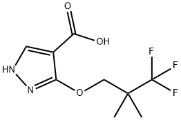 3-(3,3,3-trifluoro-2,2-dimethylpropoxy)-1H-pyrazole-4-carboxylic acid Struktur