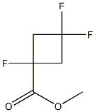 methyl 1,3,3-trifluorocyclobutane-1-carboxylate Struktur