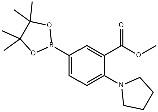 methyl 2-(pyrrolidin-1-yl)-5-(4,4,5,5-tetramethyl-1,3,2-dioxaborolan-2-yl)benzoate Struktur