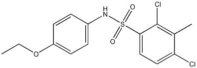 2,4-dichloro-N-(4-ethoxyphenyl)-3-methylbenzenesulfonamide Struktur