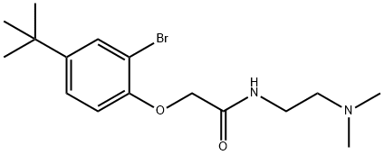 2-(2-bromo-4-tert-butylphenoxy)-N-[2-(dimethylamino)ethyl]acetamide Struktur