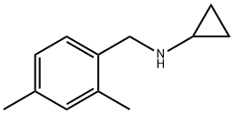 N-(2,4-dimethylbenzyl)cyclopropanamine Struktur