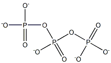 triphosphate ion Struktur