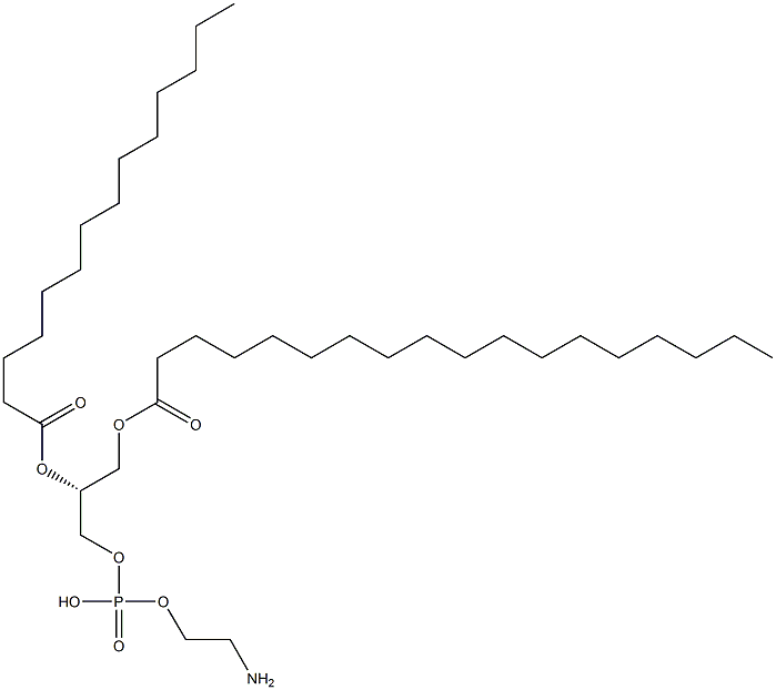 1-octadecanoyl-2-tetradecanoyl-sn-glycero-3-phosphoethanolamine Struktur