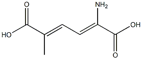 2-amino-5-methylmuconic acid Struktur