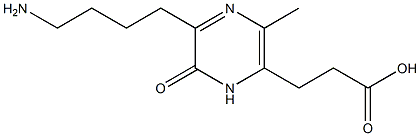 3-(4-aminobutyl)-6-carboxyethyl-5-methyl-2(1H)-pyrazinone Struktur