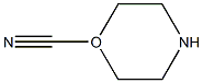 1-CYANOMORPHOLINE Struktur