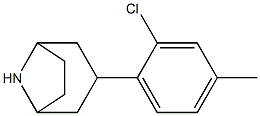 3-(2-chloro-4-methylphenyl)-8-azabicyclo[3.2.1]octane Struktur