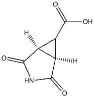 cis-2,4-Dioxo-3-aza-bicyclo[3.1.0]hexane-6-carboxylic acid Struktur