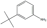 3-tert-Butyl-phenylamine Struktur