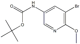  化學構(gòu)造式