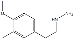 1-(4-methoxy-3-methylphenethyl)hydrazine Struktur