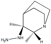 trans-(2-Methyl-1-aza-bicyclo[2.2.2]oct-3-yl)-hydrazine Struktur