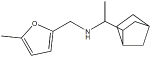 (1-{bicyclo[2.2.1]heptan-2-yl}ethyl)[(5-methylfuran-2-yl)methyl]amine Struktur