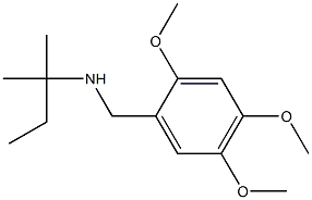 (2-methylbutan-2-yl)[(2,4,5-trimethoxyphenyl)methyl]amine Struktur