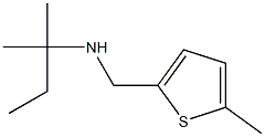 (2-methylbutan-2-yl)[(5-methylthiophen-2-yl)methyl]amine Struktur