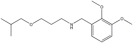 [(2,3-dimethoxyphenyl)methyl][3-(2-methylpropoxy)propyl]amine Struktur