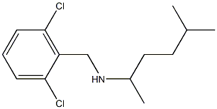 [(2,6-dichlorophenyl)methyl](5-methylhexan-2-yl)amine Struktur