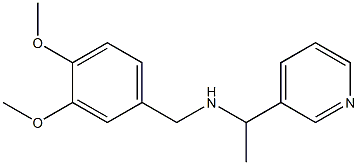 [(3,4-dimethoxyphenyl)methyl][1-(pyridin-3-yl)ethyl]amine Struktur