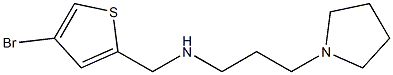 [(4-bromothiophen-2-yl)methyl][3-(pyrrolidin-1-yl)propyl]amine Struktur