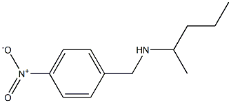 [(4-nitrophenyl)methyl](pentan-2-yl)amine Struktur