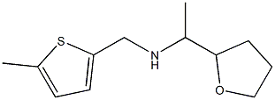 [(5-methylthiophen-2-yl)methyl][1-(oxolan-2-yl)ethyl]amine Struktur