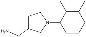 [1-(2,3-dimethylcyclohexyl)pyrrolidin-3-yl]methylamine Struktur