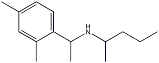 [1-(2,4-dimethylphenyl)ethyl](pentan-2-yl)amine Struktur