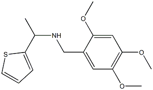 [1-(thiophen-2-yl)ethyl][(2,4,5-trimethoxyphenyl)methyl]amine Struktur