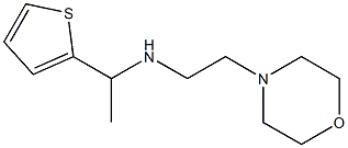 [2-(morpholin-4-yl)ethyl][1-(thiophen-2-yl)ethyl]amine Struktur