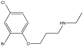 [3-(2-bromo-4-chlorophenoxy)propyl](ethyl)amine Struktur