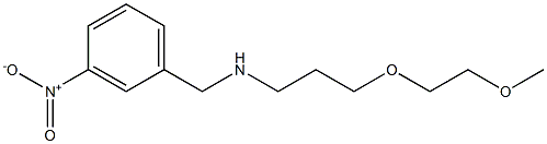 [3-(2-methoxyethoxy)propyl][(3-nitrophenyl)methyl]amine Struktur