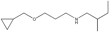 [3-(cyclopropylmethoxy)propyl](2-methylbutyl)amine Struktur