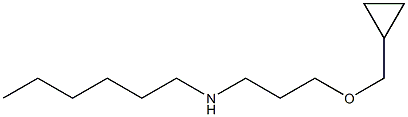 [3-(cyclopropylmethoxy)propyl](hexyl)amine Struktur