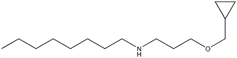 [3-(cyclopropylmethoxy)propyl](octyl)amine Struktur