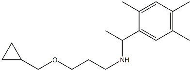 [3-(cyclopropylmethoxy)propyl][1-(2,4,5-trimethylphenyl)ethyl]amine Struktur