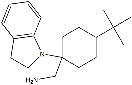 [4-tert-butyl-1-(2,3-dihydro-1H-indol-1-yl)cyclohexyl]methanamine Struktur